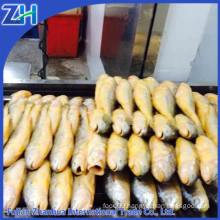 frozen yellow croaker fish price 2015